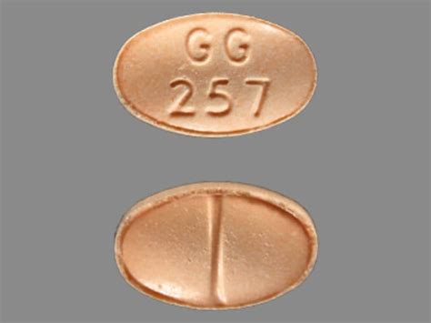Pill Identifier results for "257 GG