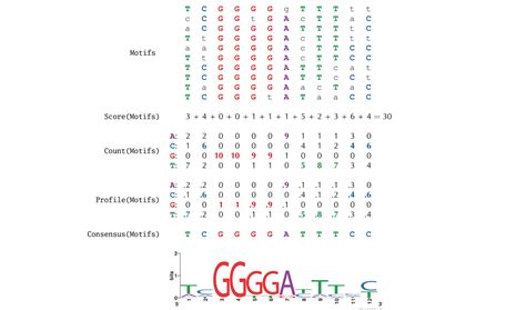 GhazaleZe/Biology-Meets-Programming - Github