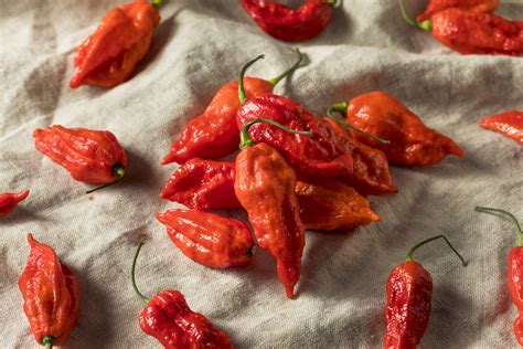 Ghost peppers. This means the ghost pepper is 125-400 times as hot as a jalapeño, while the pepper spray cops use to disperse crowds is only 5 times hotter than a ghost pepper. That is, ghost peppers are more ... 