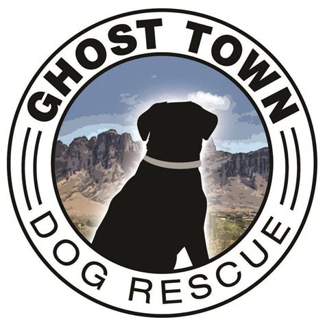 Ghost Town Dog Rescue · February 27, 2018 · February 27, 2018. 