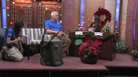 Gia Diaz Onlyfans Leak 💦 PORN