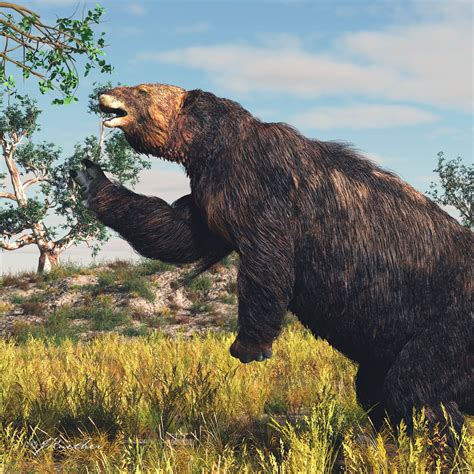Giant Ground Sloth Not Extinct