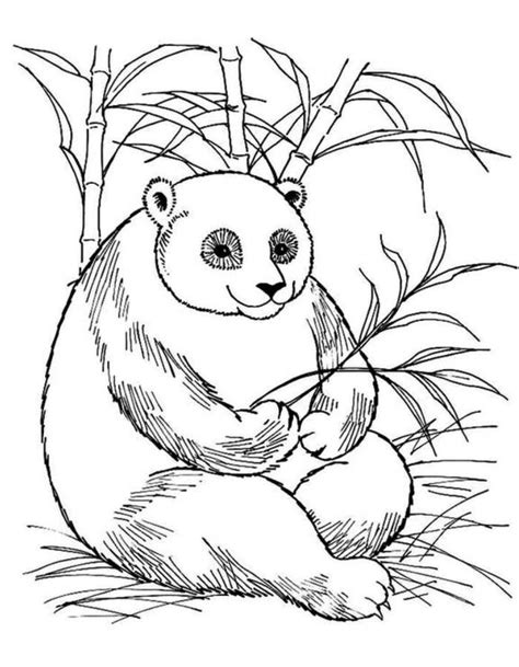 Coloring Pages Of Roses