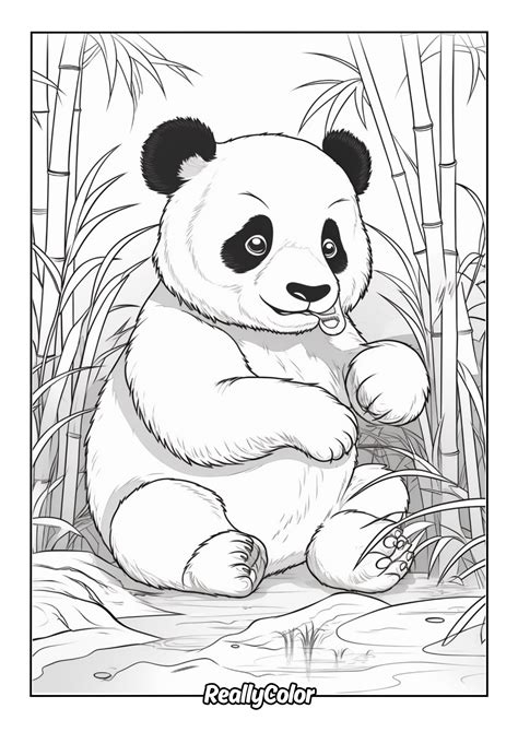 Giant Panda Coloring Shee