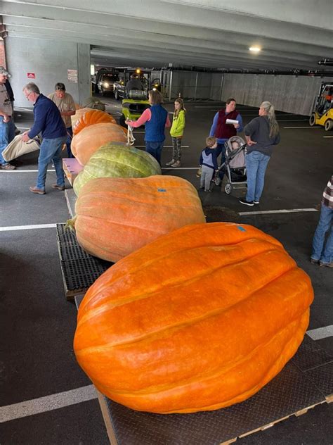 Giant Pumpkinfest returning to Saratoga Springs