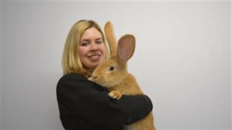 Giant Scottish rabbit seeks new home Fox News