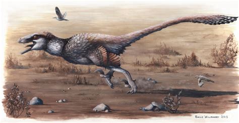 Nov 5, 2015 · Dakotaraptor steini is also the third 