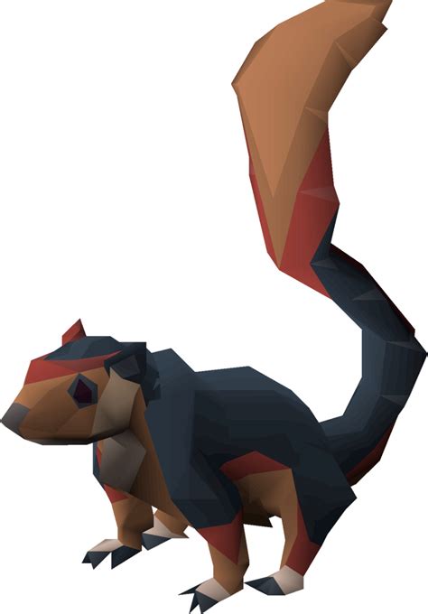 The giant squirrel is a skilling pet that can be obtained after completion of an agility course, as well as from ticket dispensers within the Brimhaven Agility Arena. Upon using a dark acorn on it, which is purchased from the Hallowed Sepulchre for 3,000 hallowed marks, players unlock the right click "Metamorphosis" option to change between the giant and dark squirrel.. 