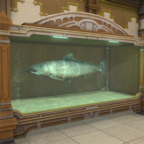 A legendary giant freshwater fish indigenous to the lands of the Far East. The takitaro found in Eorzea are thought to be the offspring of a specimen presented as a gift to an eccentric sultan who loosed the fish into a cenote when it grew too large to keep in the royal aquariums. [Suitable for printing on large canvases.]. 