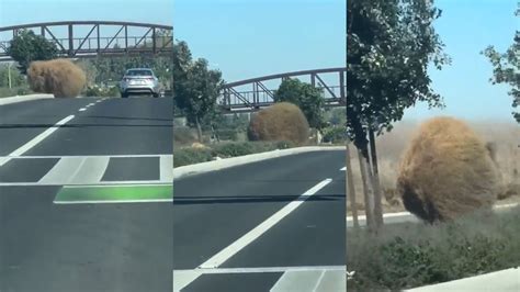 Giant tumbleweed captured blowing across roadway in Southern California 