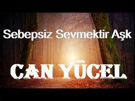 Gidene üzülme sevse gitmezdi ~Aşk Sebepsiz Sevmektir~.