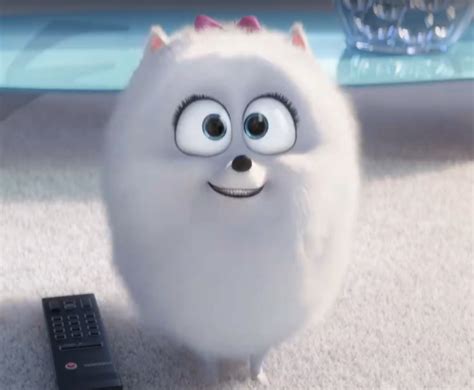 Gidget/Gallery The Secret Life of Pets Wiki Fandom