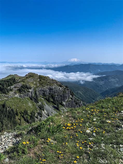 Gifford Pinchot National Forest - Mount St. Helens Summit