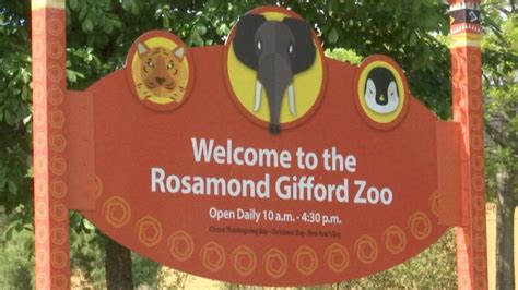Gifford zoo. Syracuse zoo events is run by the Friends of the Zoo - a non-profit organization and dedicated partner of the Rosamond Gifford Zoo. The Friends organization provides financial support through funds dedicated to the welfare of the zoo's animals, educational programs and family-friendly facilities. 