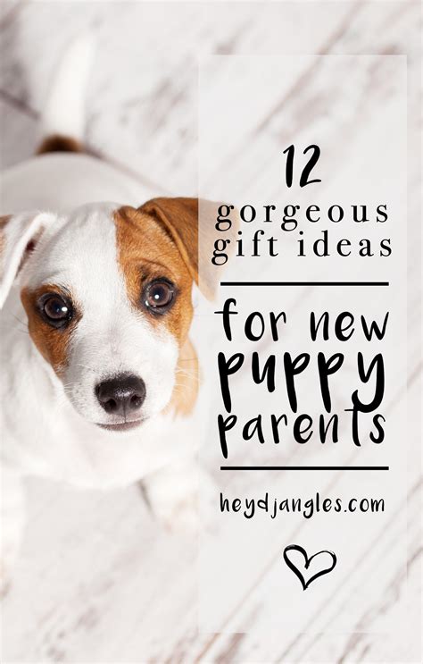 Gifts For New Dog Owners