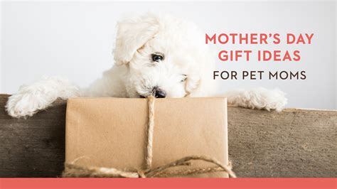 Gifts For Pet Moms