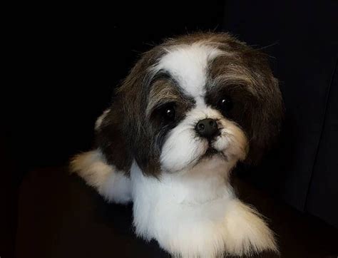 Gifts For Shih Tzu Dogs