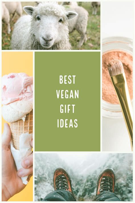 Gifts For Vegans Amazon