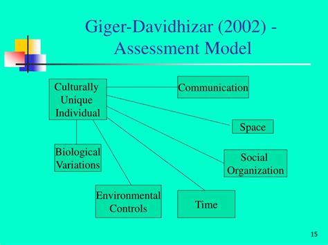 Giger and Davidhizar
