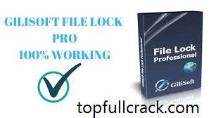 GiliSoft File Lock Pro Crack 12.0.0 + Keygen