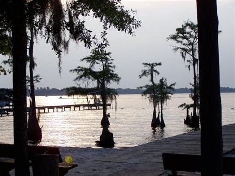  Gilligans Island Resort and Campground in White Lake, North Carolina: 0 reviews, 7 photos, & 0 tips from fellow RVers. Gilligans Island Resort and Campground in White Lake is rated 0.0 of 10 at RV LIFE Campground Reviews. . 