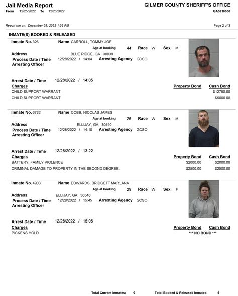 Gilmer County Sheriffs Office Arrest Report 1/4 - 1/11 - Gilmer. Arrest report and photos provided by the Gilmer County Sheriff’s Office requested by us. The Georgia Open Records Act (O.C.G.A. 50-18-70) allows us (FetchYourNews.com) to request and post the arrest records of any and all individuals arrested in Gilmer …. 