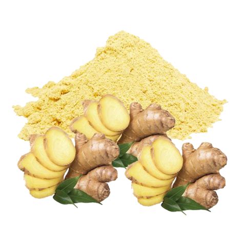 Ginger In Shanti Niketan, Ginger Suppliers Exporters