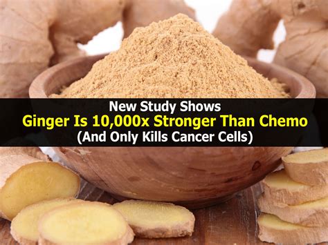 Ginger is Stronger than Chemotherapy for Cancer