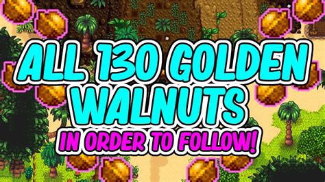 Ginger island walnuts locations. Golden Walnuts are the currency of the parrots on Ginger Island.The amount of Golden Walnuts that a player has saved is displayed directly beneath the player's picture in the skills tab. Walnuts are shared amongst players in Multiplayer.. The player can find a total of 130 Golden Walnuts scattered on the island, by exploration, killing monsters, farming, fishing, mining, breaking crates in the ... 