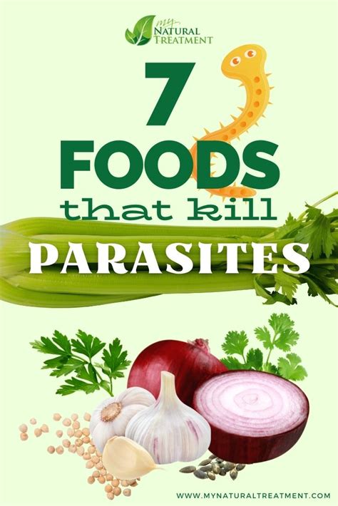 Ginger to kill parasites. Things To Know About Ginger to kill parasites. 