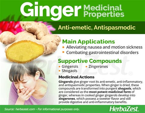 Ginger--an herbal medicinal product with broad anti-inflammatory actions