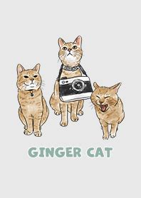 🔥 Gingercat2 Onlyfans Leaked [SEX VIDEO]