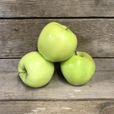 🔥 Gingergold Onlyfans Leak (SEX) 133 Videos