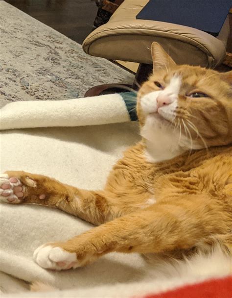 🍌 Gingerpussy Leaks +18 171 Vids