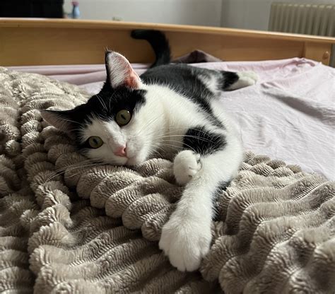 🔥 Gingerspxce Onlyfans Leak [PPV]