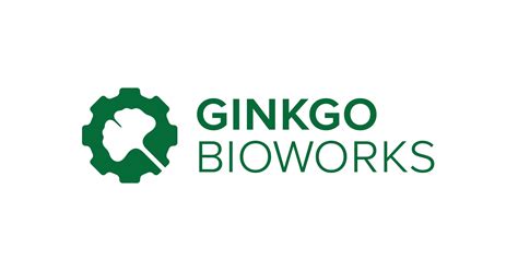 Gingko bioworks stock. Things To Know About Gingko bioworks stock. 