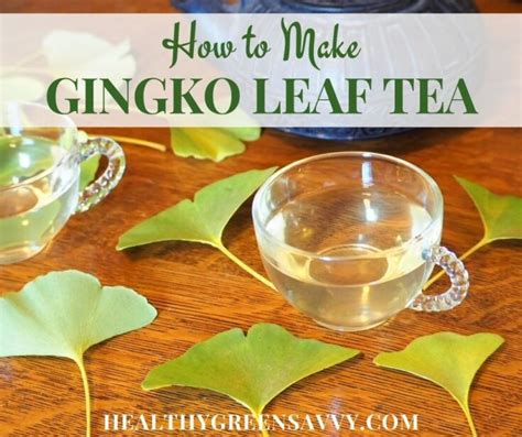 Ginkgo Biloba Tea Benefits - TeaBenefits.com