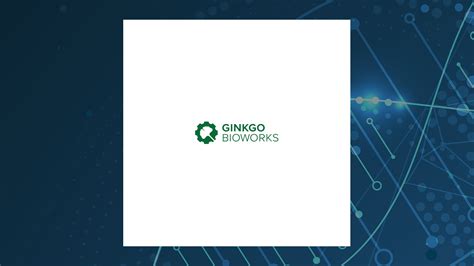 Ginko bioworks stock. Things To Know About Ginko bioworks stock. 