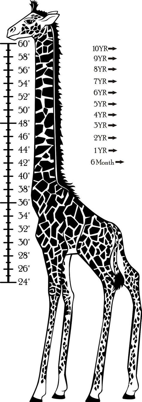 Giraffe Height Chart