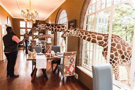 Giraffe Manor Prices 2022