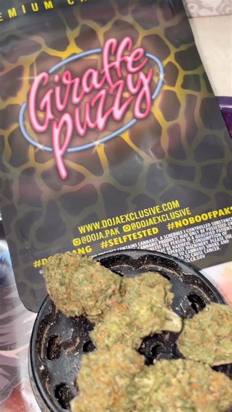 Giraffe puzzy strain genetics.  Breeder Doja Pak has also released a Giraffe P strain...
