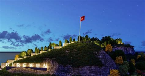 Giresun Özel Güvenlik Şirketleri Giresun.