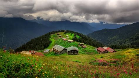 Giresun Alucra En Yakin terapi halı yıkama