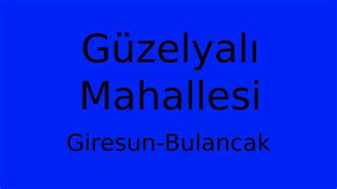 Giresun Bulancak Semsettin Mahallesi terapi halı yıkama
