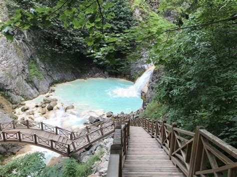 Giresun Dereli terapi halı yıkama