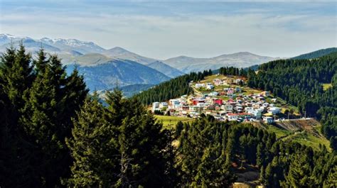 Giresun Dereli En Yakin terapi halı yıkama