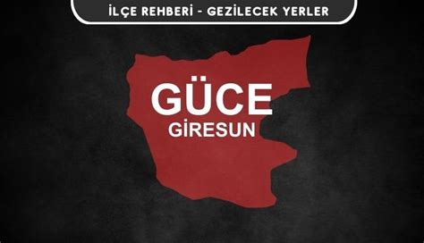 Giresun Guce terapi halı yıkama