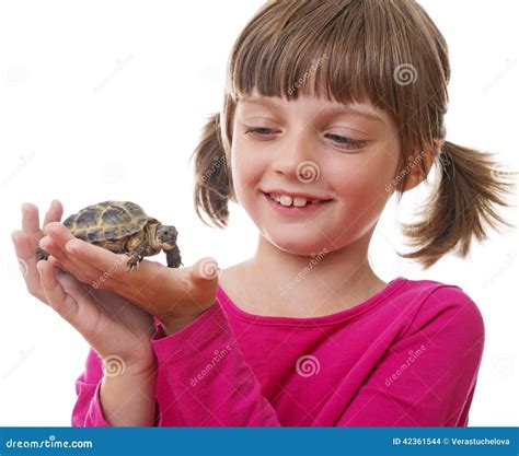 Girl Holding A Turtle Pictures, Images and Stock Photos