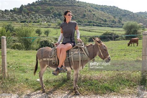 Girl donkey show pics.  Getty Images.  Find 11+ Thousand Donkey Riding stock...