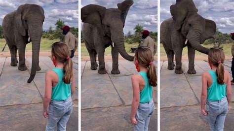 Girl fucking elephant images. .  ...